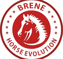 Brene Horse Evolution