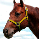 cabresto boots horse nylon