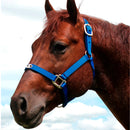 cabresto boots horse nylon