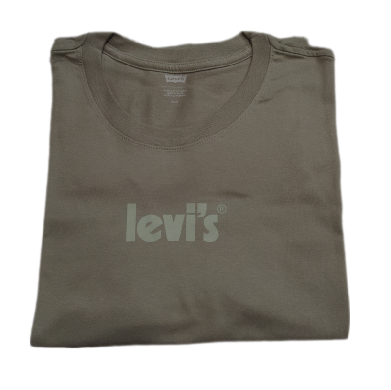 Camiseta Levi's® Transparente Cinza Claro Esverdeado Masculina