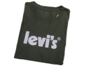 Camiseta Levi's® Transparente Grande Verde Escuro Masculina