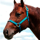 cabresto boots horse nylon