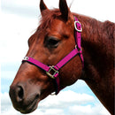 cabresto boots horse nylon